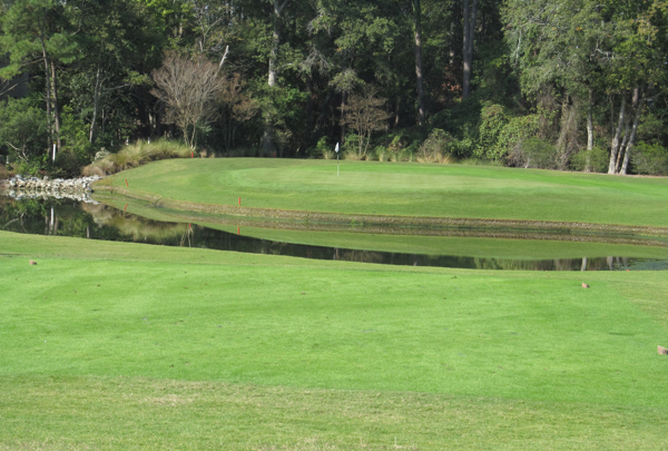 Pine Lakes was the first course in Myrtle Beach and No. 11 is one of its best.