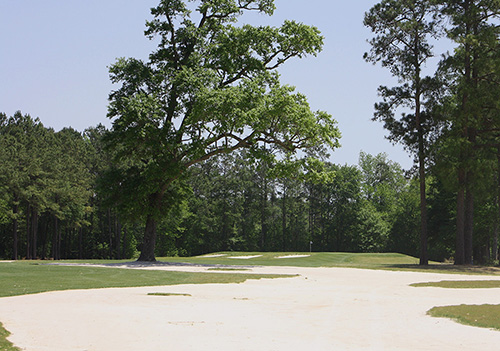 Renovations at Shaftesbury made it one of the biggest Myrtle Beach golf stories of the year