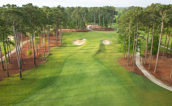 Playing smart is a key to success at tpc myrtle beach